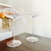 Charlie Champagne Glass