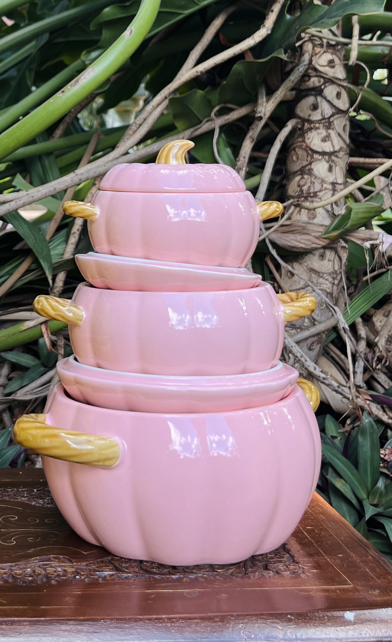 Pamy Pumpkin Serving Pot Set- Pink